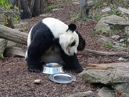 Tiergarten Schönbrunn am 23.03.2023